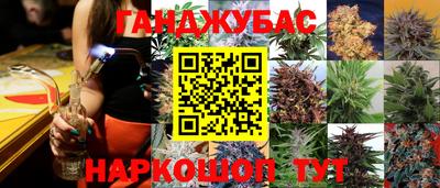 шишки Гусев
