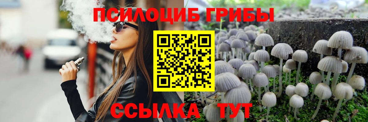 Псилоцибиновые грибы Magic Shrooms Можга
