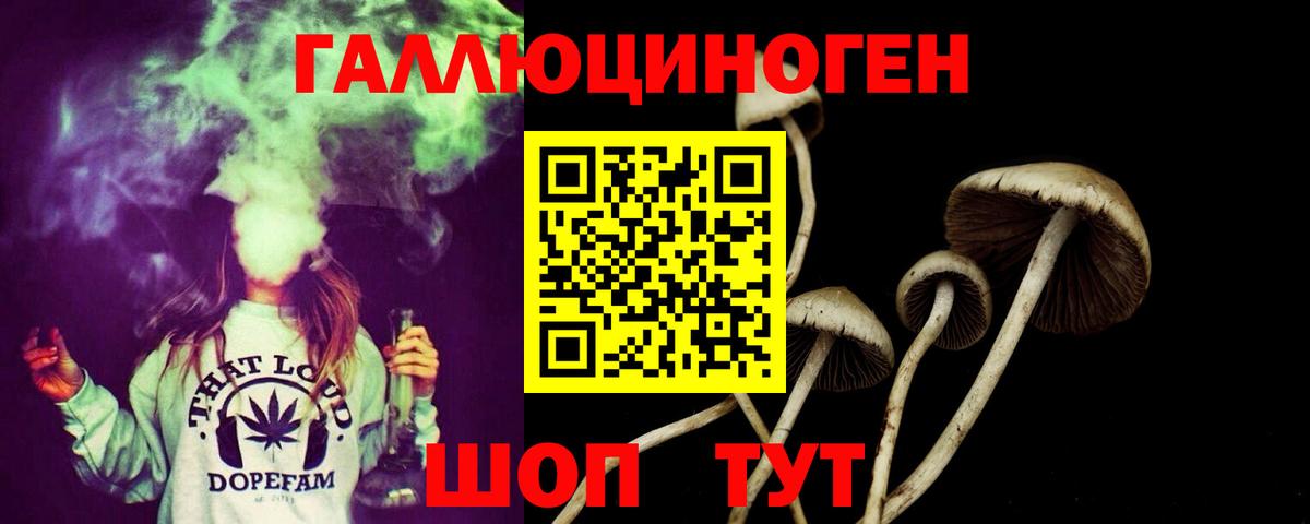 Можга  Псилоцибиновые грибы Psilocybe  Вход с VPN 